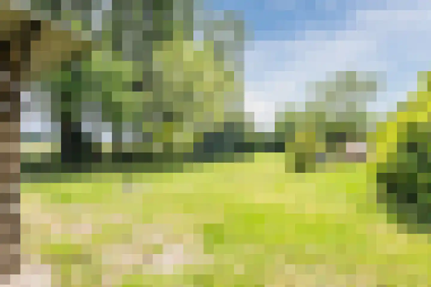 Korenveld 1 Braamt thumbnail 38