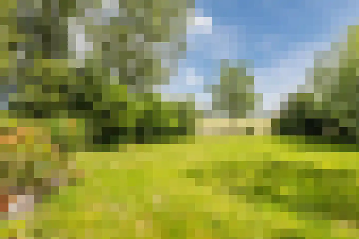 Korenveld 1 Braamt thumbnail 39
