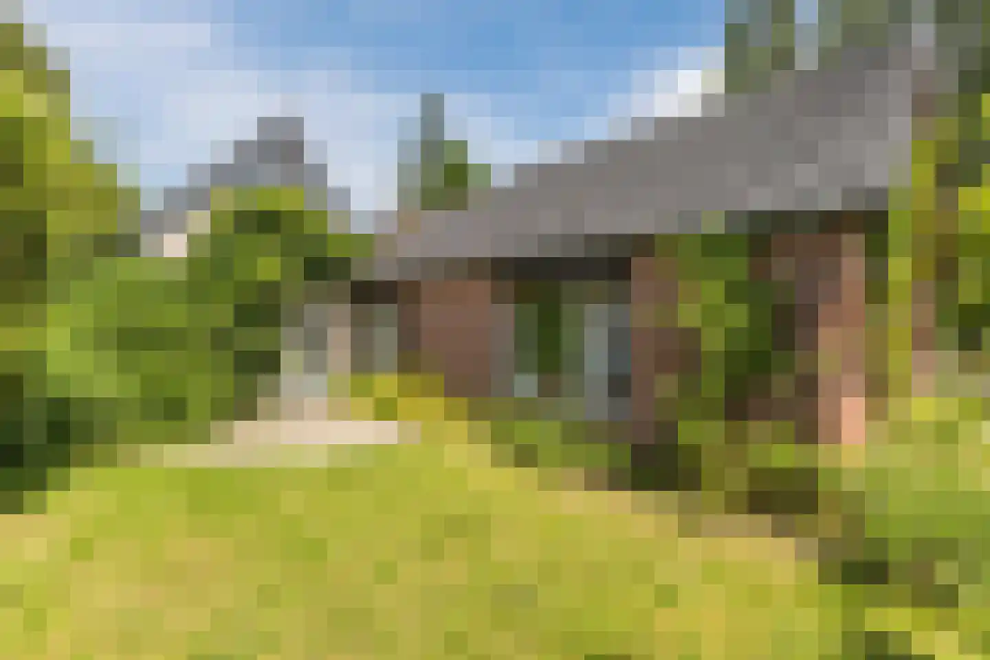 Korenveld 1 Braamt thumbnail 4