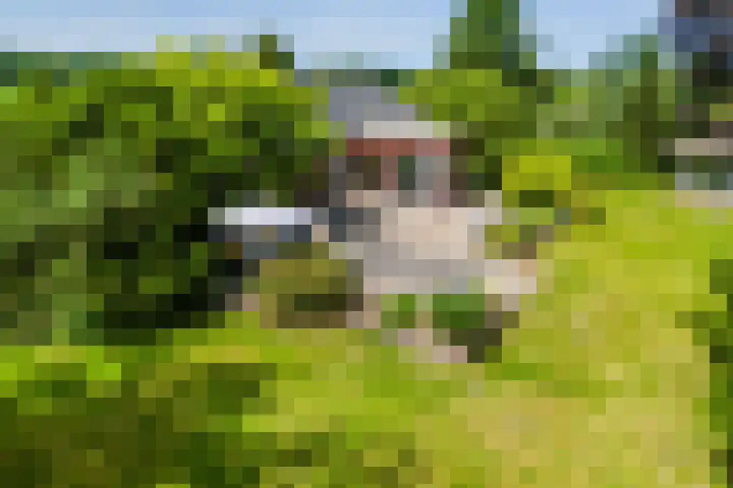 Korenveld 1 Braamt thumbnail 40
