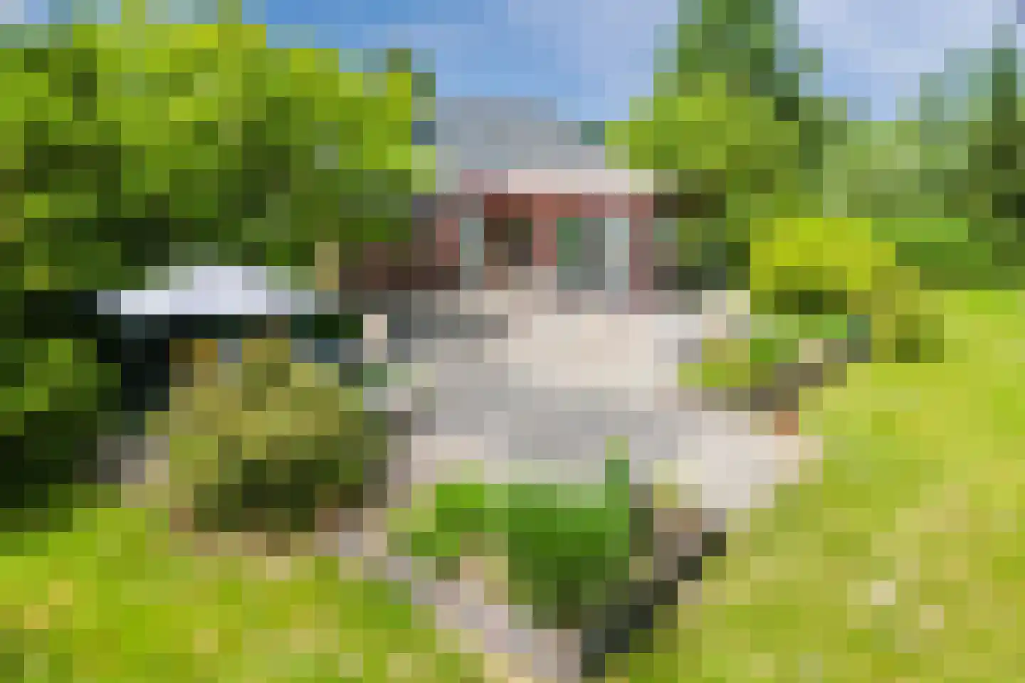 Korenveld 1 Braamt thumbnail 41