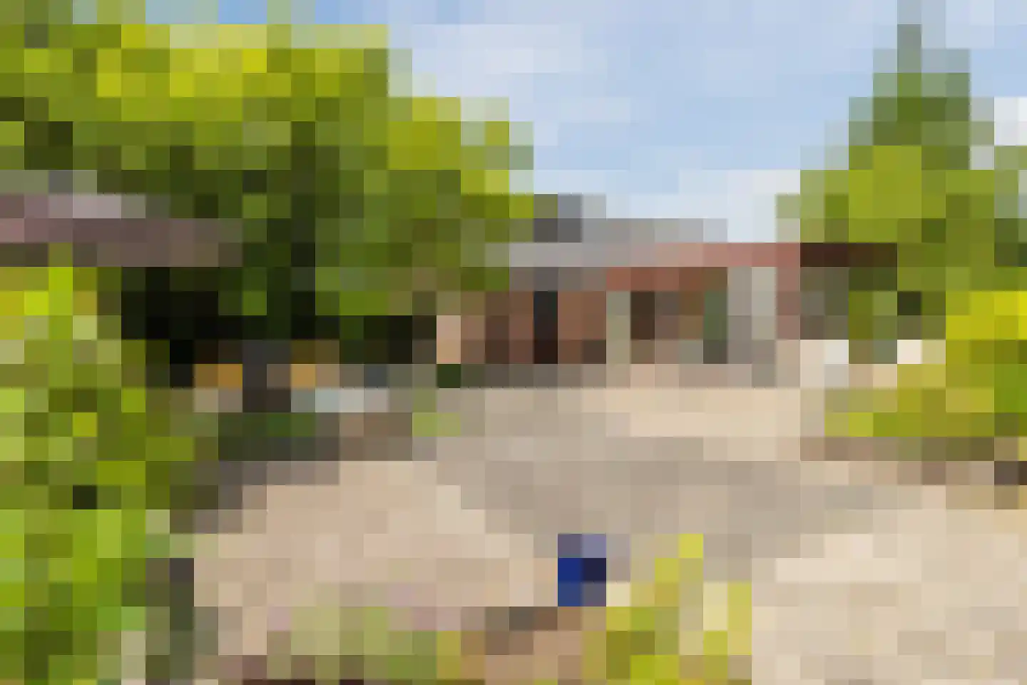 Korenveld 1 Braamt thumbnail 42