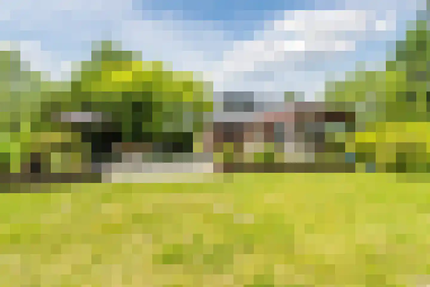 Korenveld 1 Braamt thumbnail 44