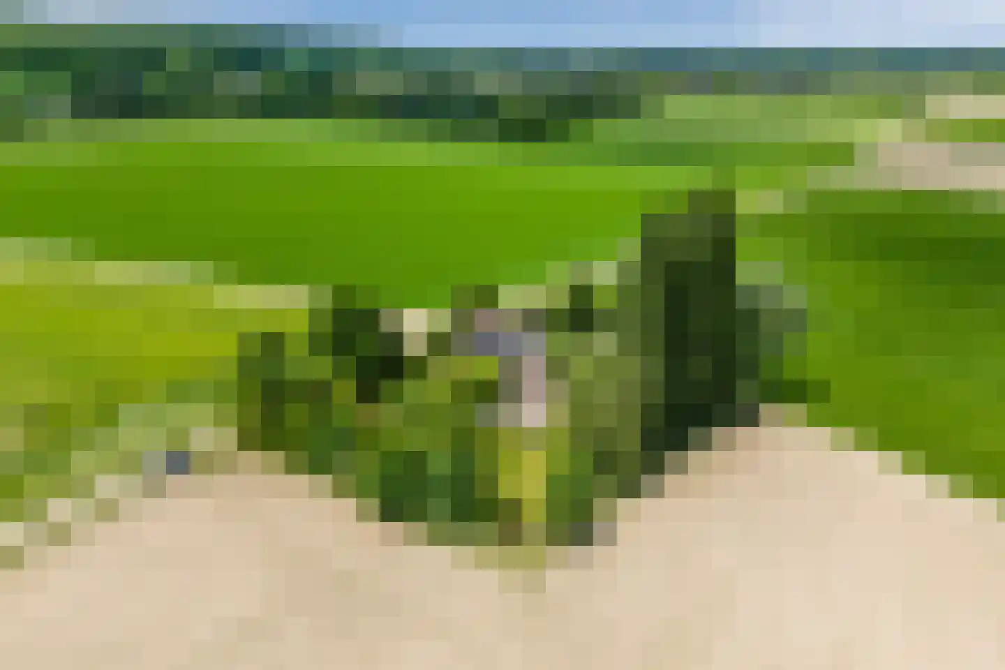 Korenveld 1 Braamt thumbnail 47