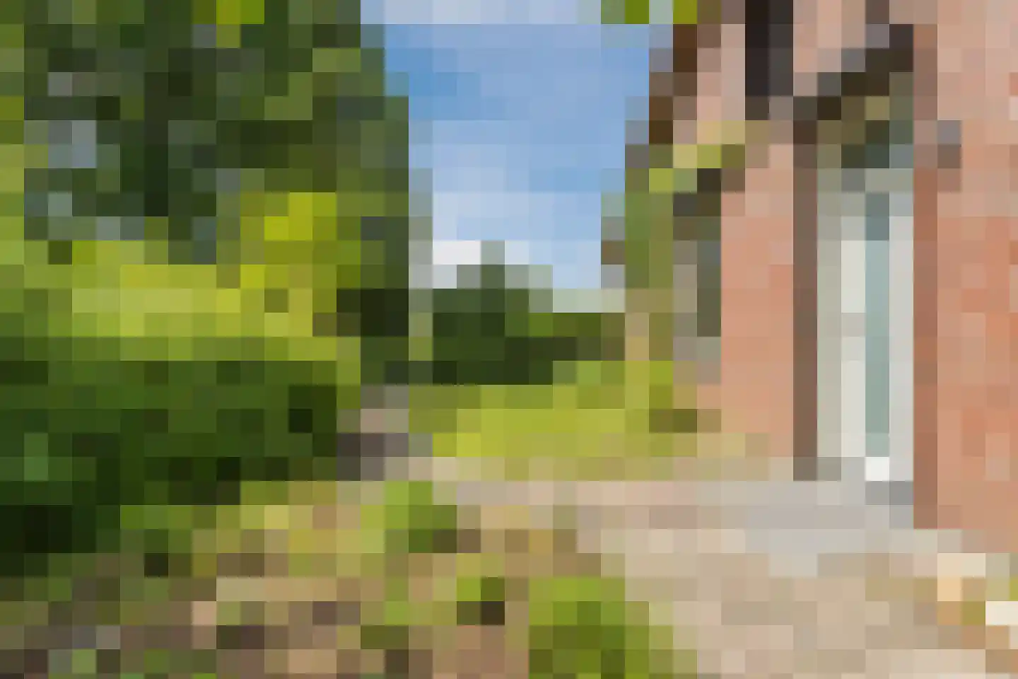 Korenveld 1 Braamt thumbnail 5