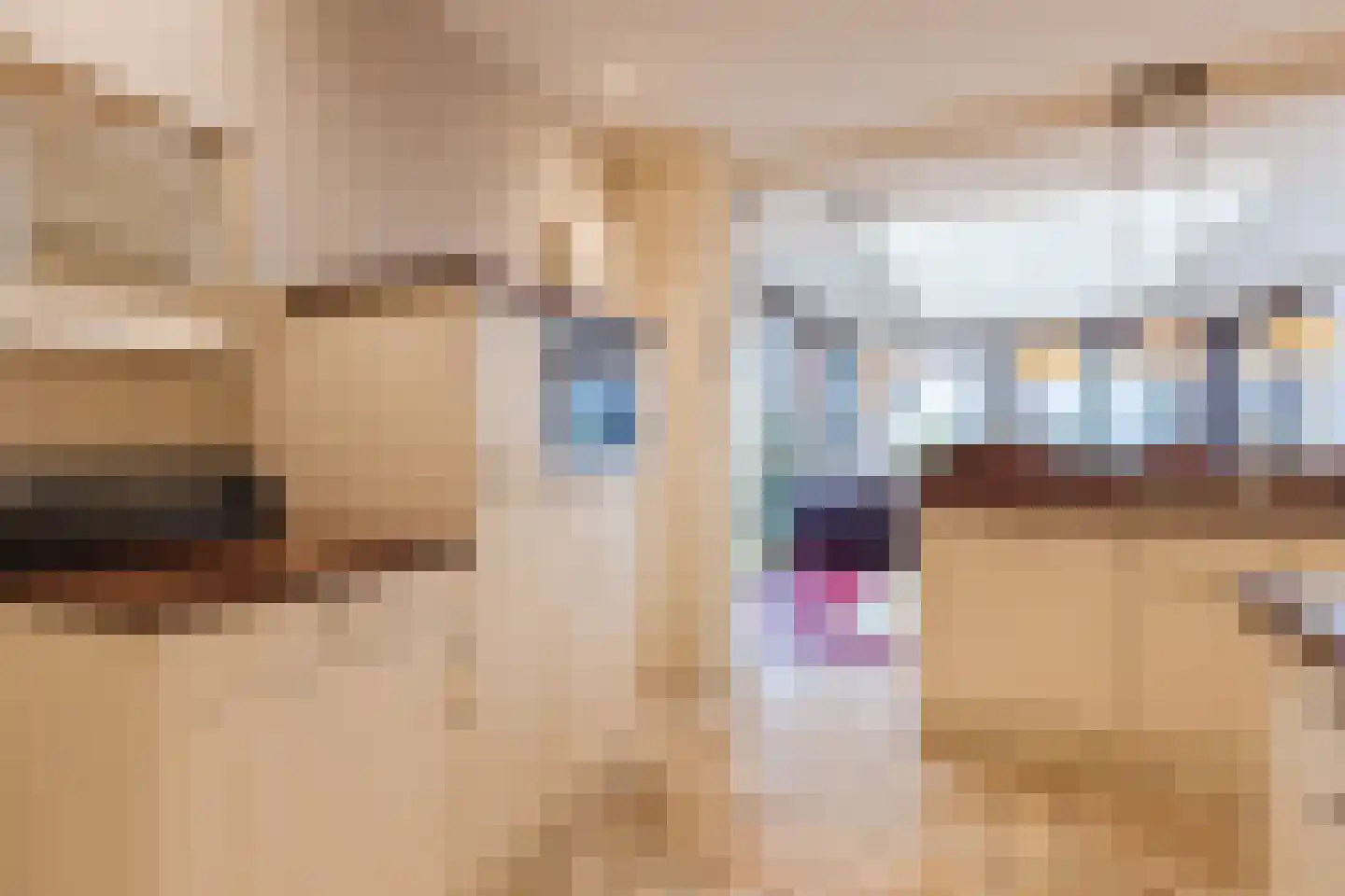 Korenveld 1 Braamt thumbnail 5