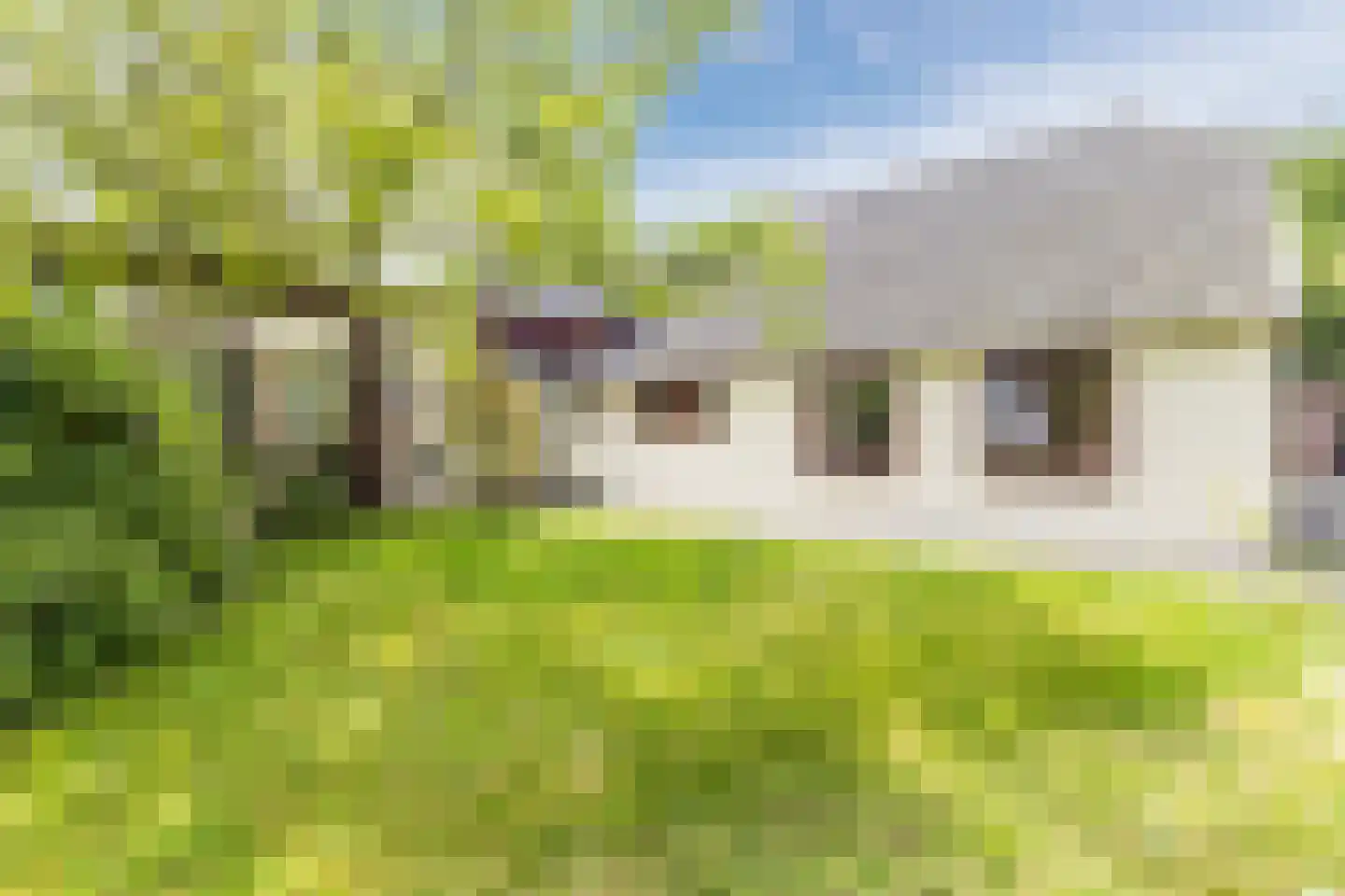 Korenveld 1 Braamt thumbnail 7