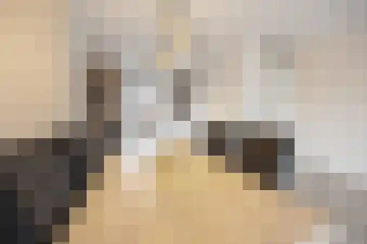 Korenveld 13 Beneden-Leeuwen thumbnail 12