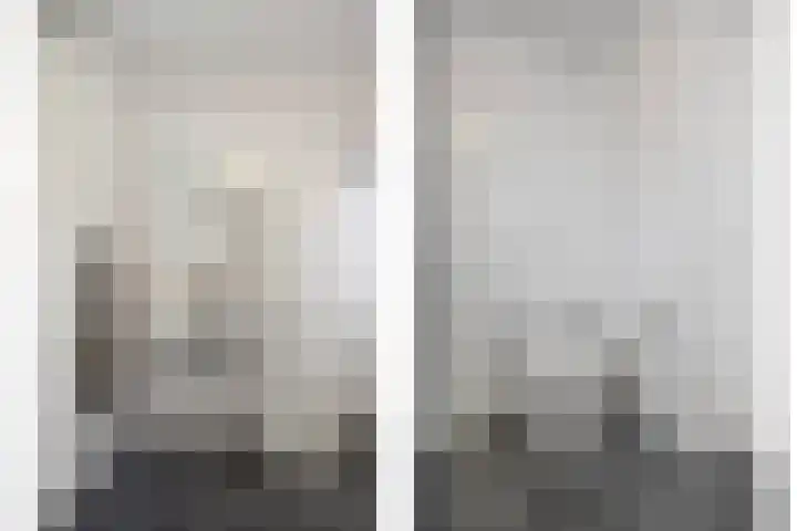 Korenveld 13 Beneden-Leeuwen thumbnail 32