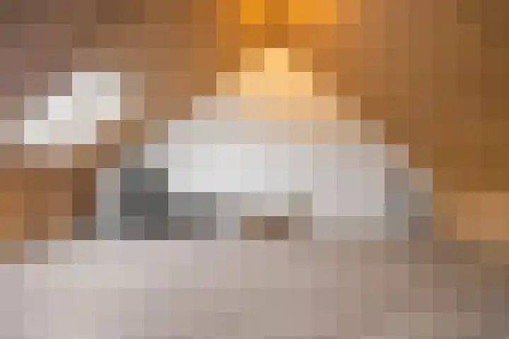 Korenveld 13 Beneden-Leeuwen thumbnail 35