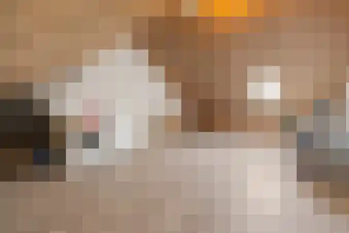 Korenveld 13 Beneden-Leeuwen thumbnail 36