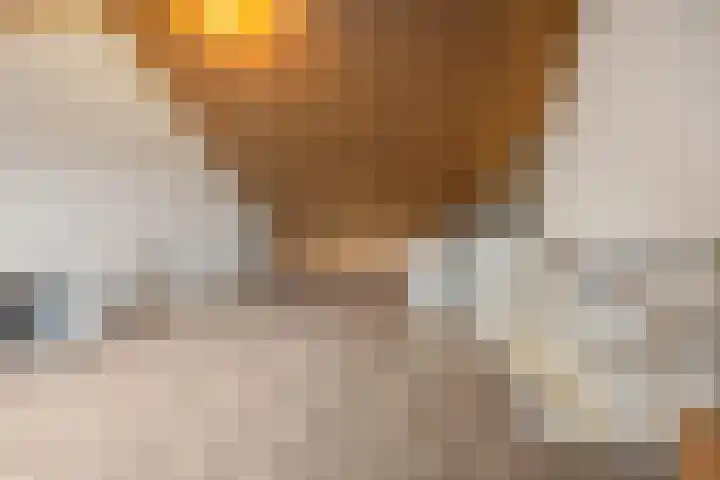 Korenveld 13 Beneden-Leeuwen thumbnail 37