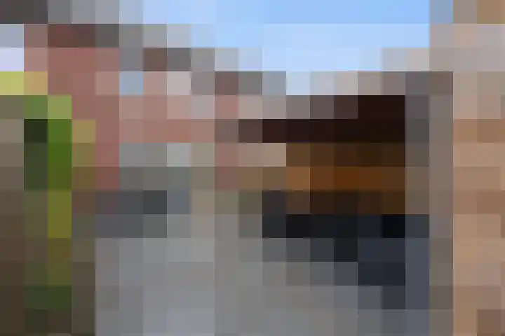 Korenveld 13 Beneden-Leeuwen thumbnail 39