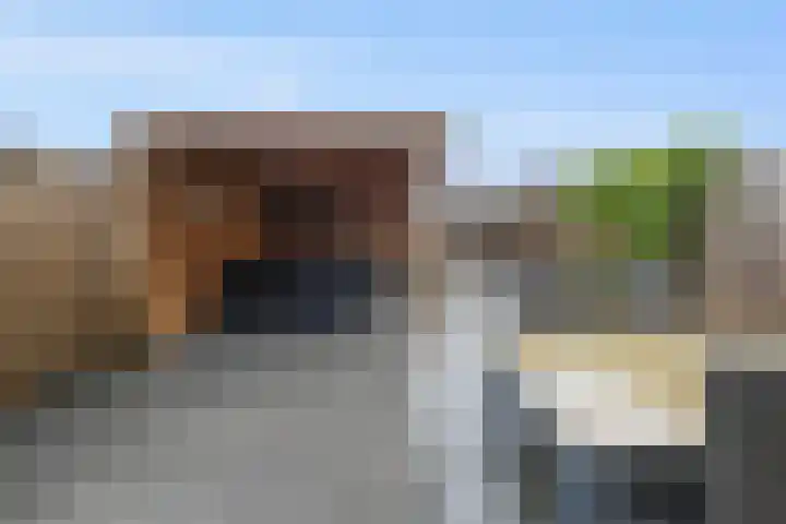 Korenveld 13 Beneden-Leeuwen thumbnail 42