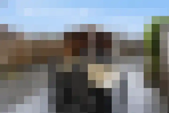 Korenveld 13 Beneden-Leeuwen thumbnail 43