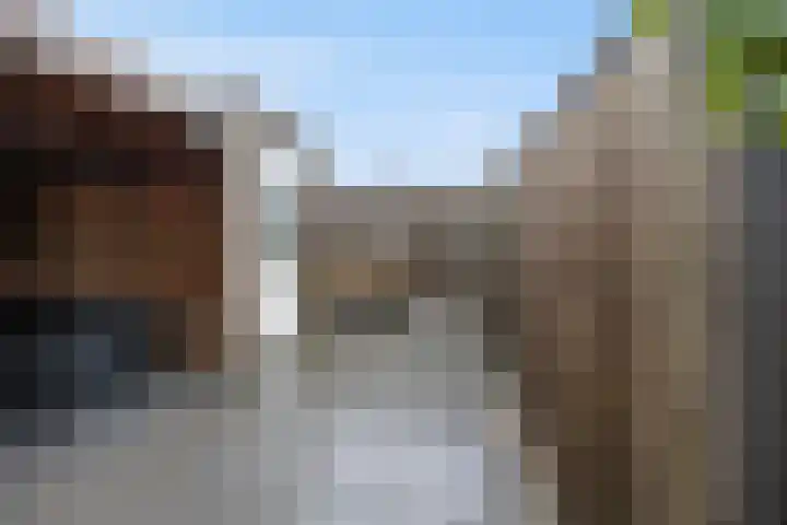 Korenveld 13 Beneden-Leeuwen thumbnail 45
