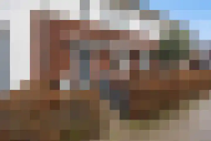 Korenveld 13 Beneden-Leeuwen thumbnail 46