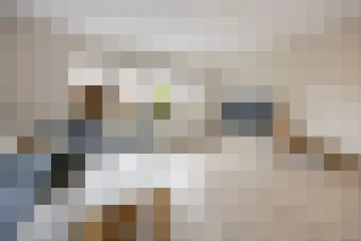 Korenveld 13 Beneden-Leeuwen thumbnail 8