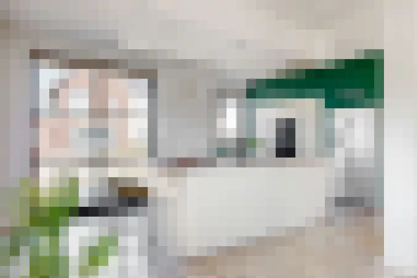 Korenveld 14 Beneden-Leeuwen thumbnail 13
