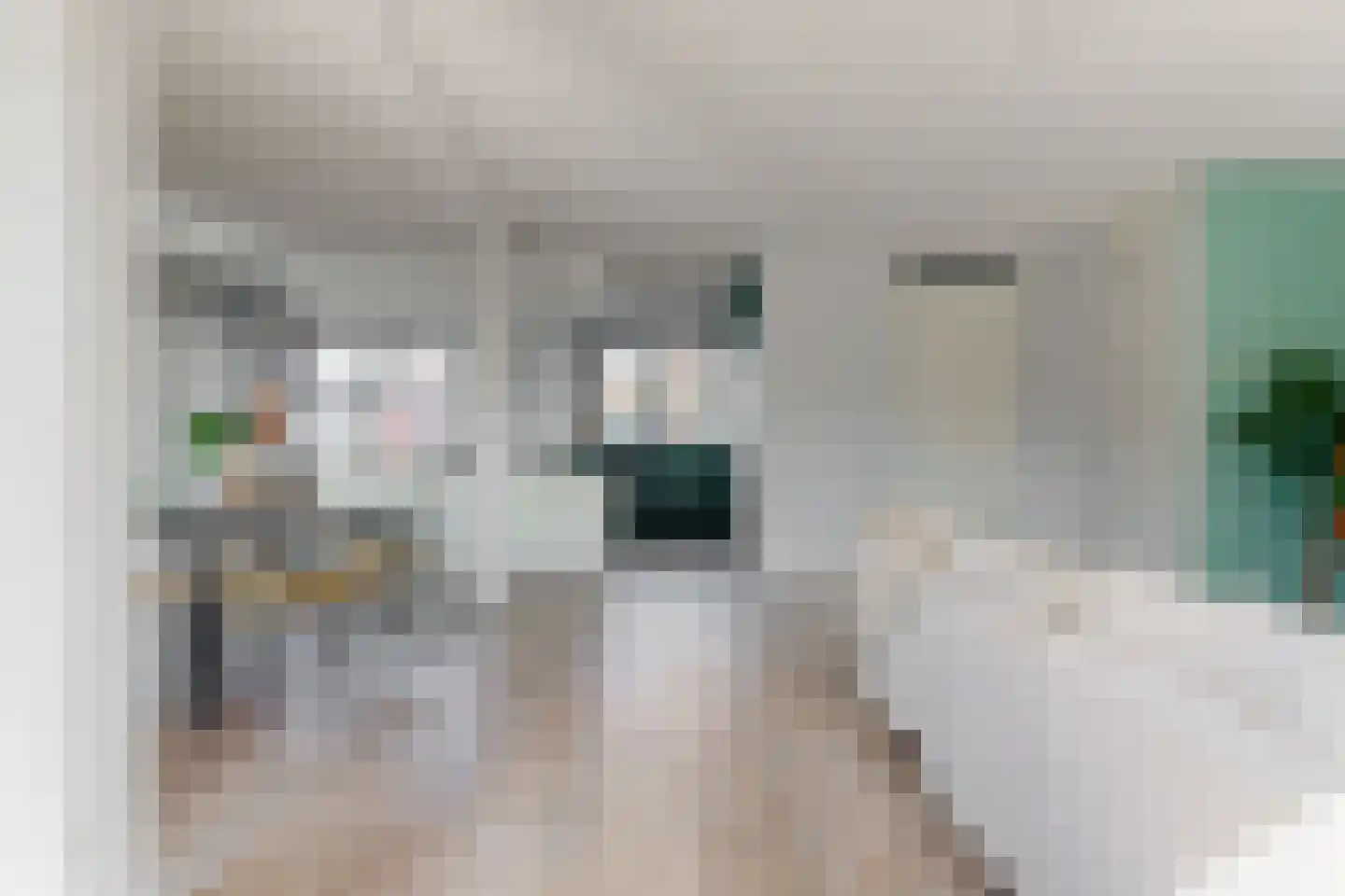 Korenveld 14 Beneden-Leeuwen thumbnail 6