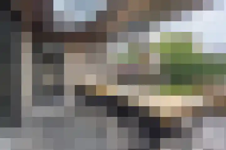 Korenveld 26 Heusden thumbnail 49