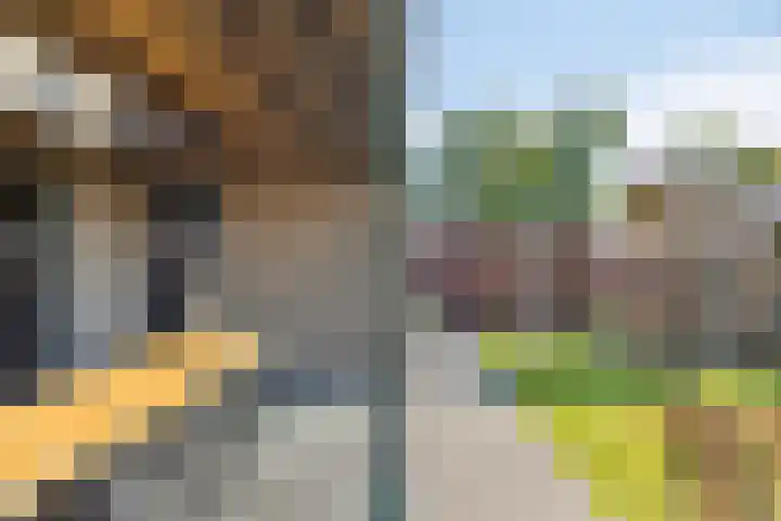Korenveld 26 Heusden thumbnail 51