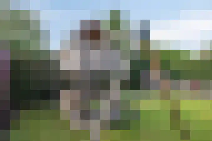 Korenveld 26 Heusden thumbnail 52
