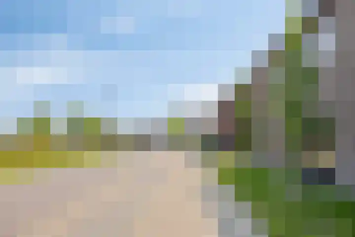 Korenveld 26 Heusden thumbnail 56
