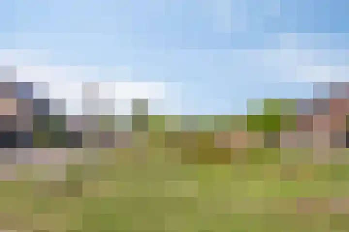 Korenveld 26 Heusden thumbnail 57