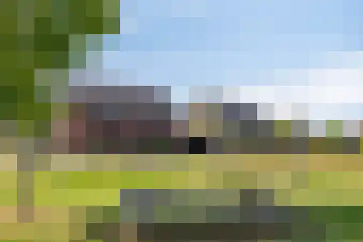 Korenveld 26 Heusden thumbnail 58