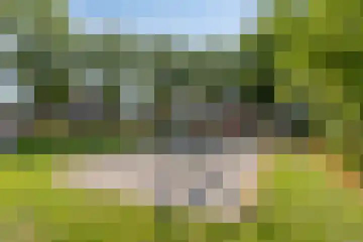 Korenveld 26 Heusden thumbnail 59