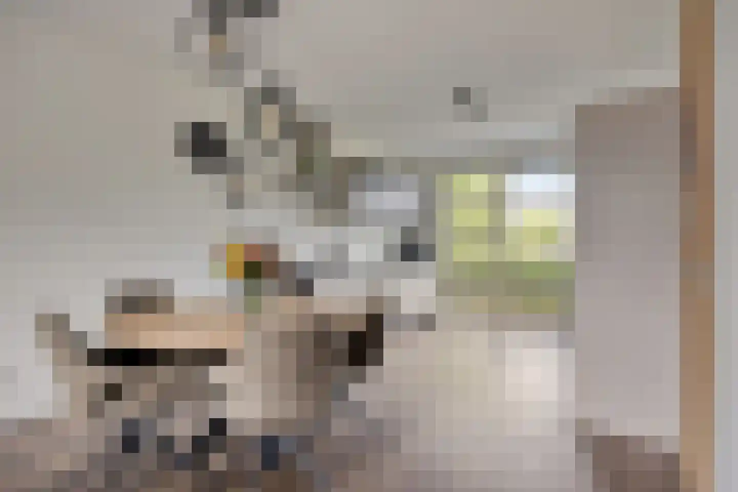 Korenveld 3 Heusden thumbnail 11