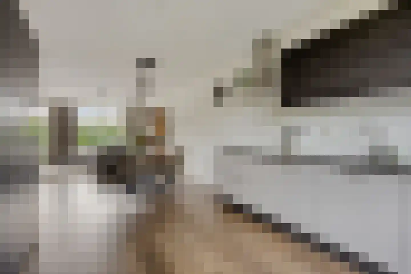 Korenveld 3 Heusden thumbnail 12