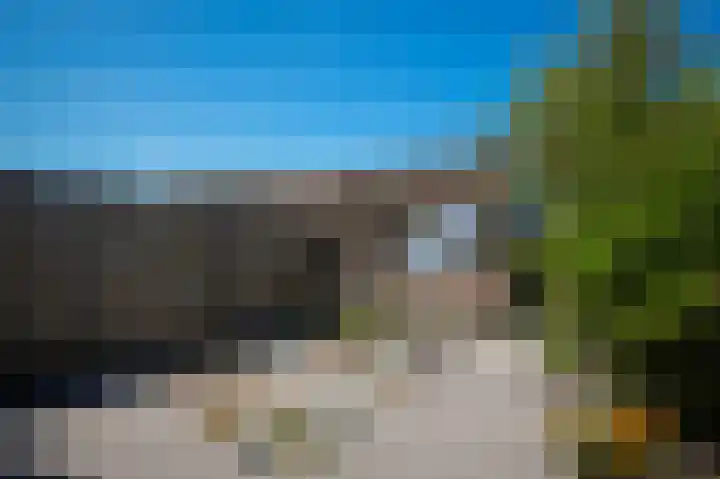 Korenveld 31 Beneden-Leeuwen thumbnail 24