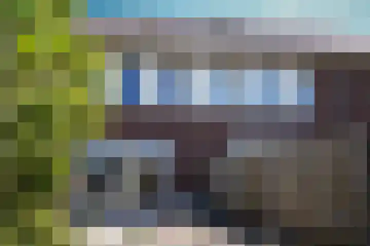 Korenveld 31 Beneden-Leeuwen thumbnail 25