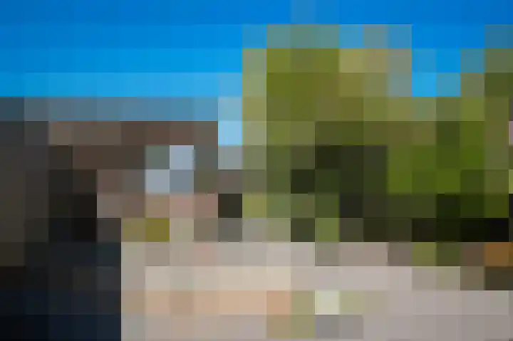 Korenveld 31 Beneden-Leeuwen thumbnail 27