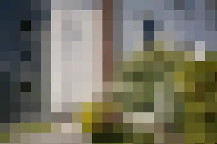 Korenveld 31 Beneden-Leeuwen thumbnail 30