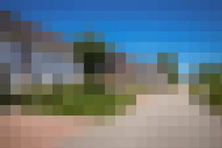 Korenveld 31 Beneden-Leeuwen thumbnail 35