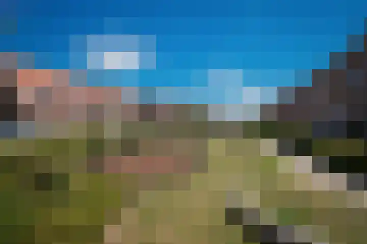 Korenveld 31 Beneden-Leeuwen thumbnail 37
