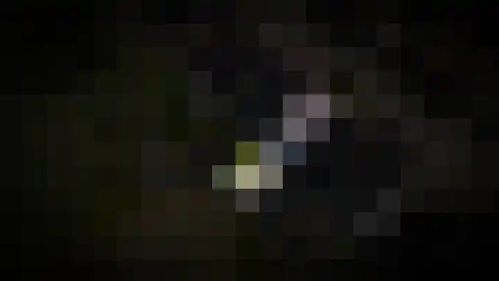 Korenveld 31 Beneden-Leeuwen thumbnail 39