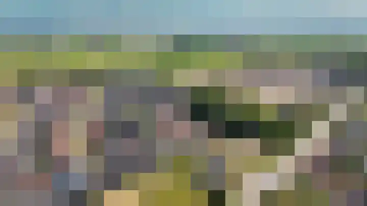 Korenveld 31 Beneden-Leeuwen thumbnail 40