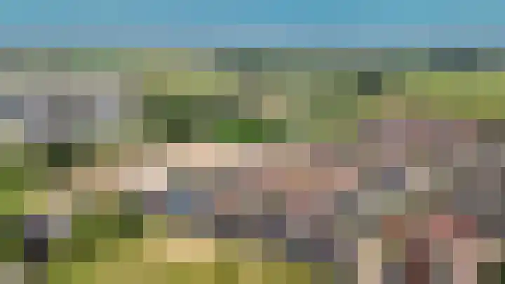 Korenveld 31 Beneden-Leeuwen thumbnail 41