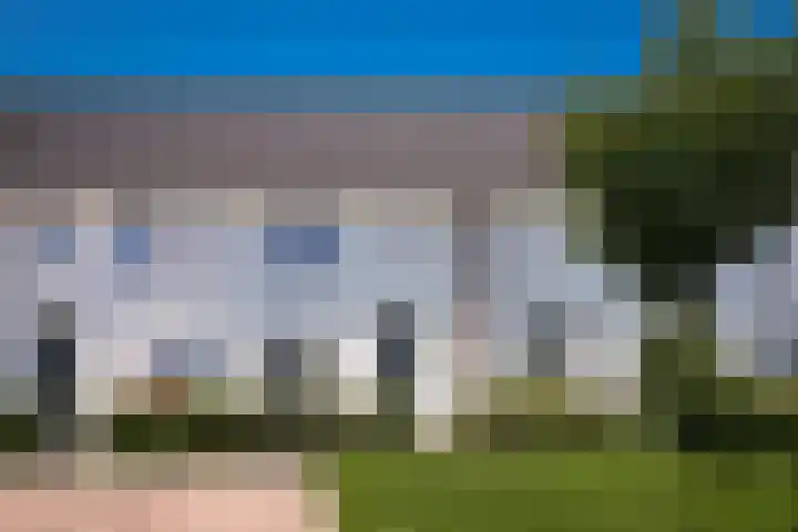 Korenveld 31 Beneden-Leeuwen thumbnail 48