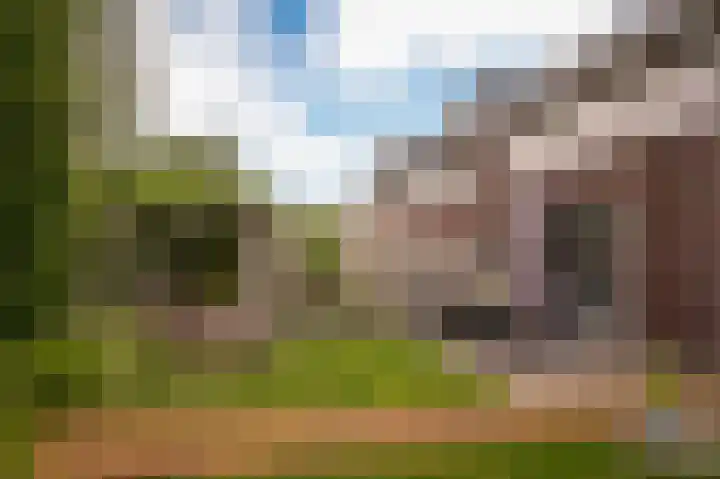 Korenveld 39 Beneden-Leeuwen thumbnail 26