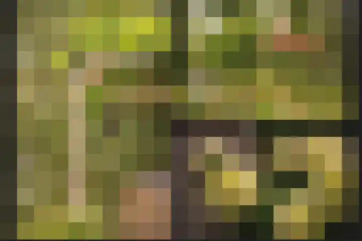 Korenveld 39 Beneden-Leeuwen thumbnail 28