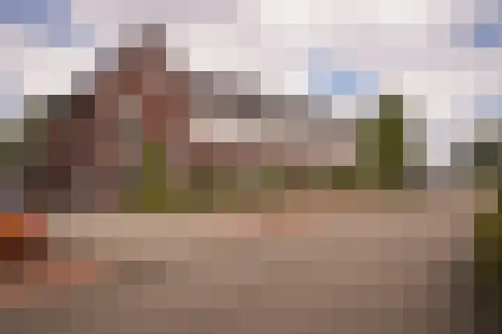 Korenveld 39 Beneden-Leeuwen thumbnail 32