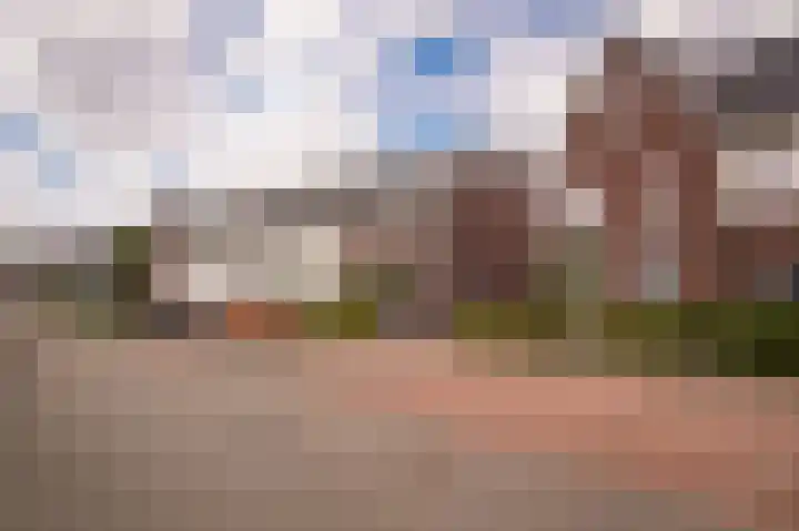 Korenveld 39 Beneden-Leeuwen thumbnail 33