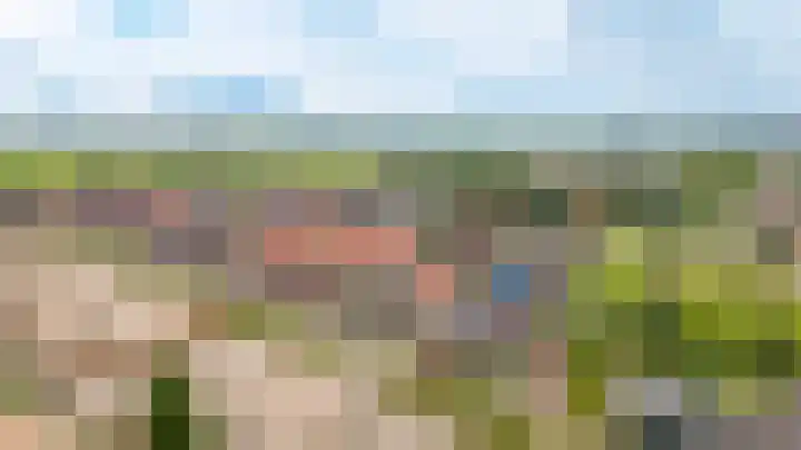 Korenveld 39 Beneden-Leeuwen thumbnail 37