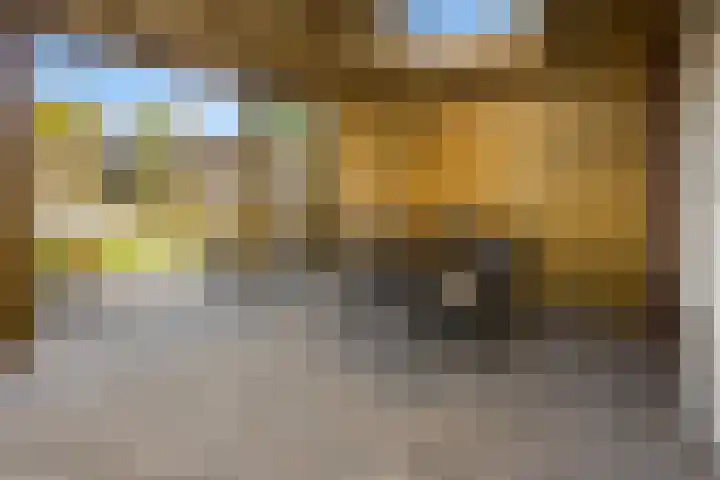 Korenveld 45 Beneden-Leeuwen thumbnail 30
