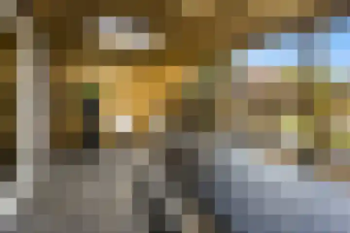 Korenveld 45 Beneden-Leeuwen thumbnail 31